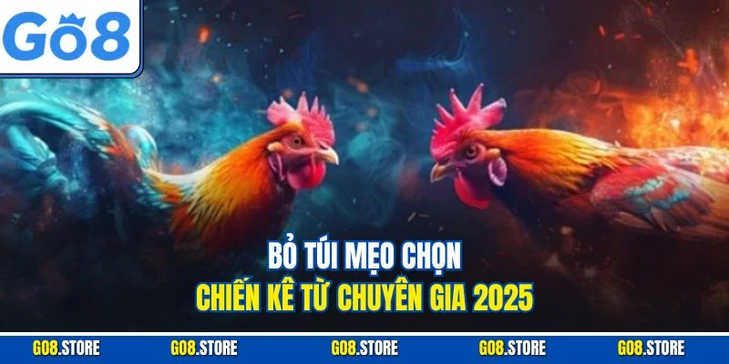Bỏ túi mẹo chọn chiến kê từ chuyên gia 2025