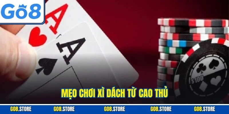 Mẹo chơi xì dách từ cao thủ